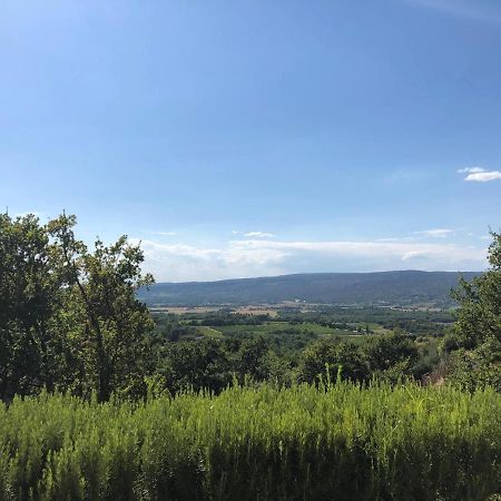 Gite Roussillon Dame Sirmonde Lägenhet Exteriör bild
