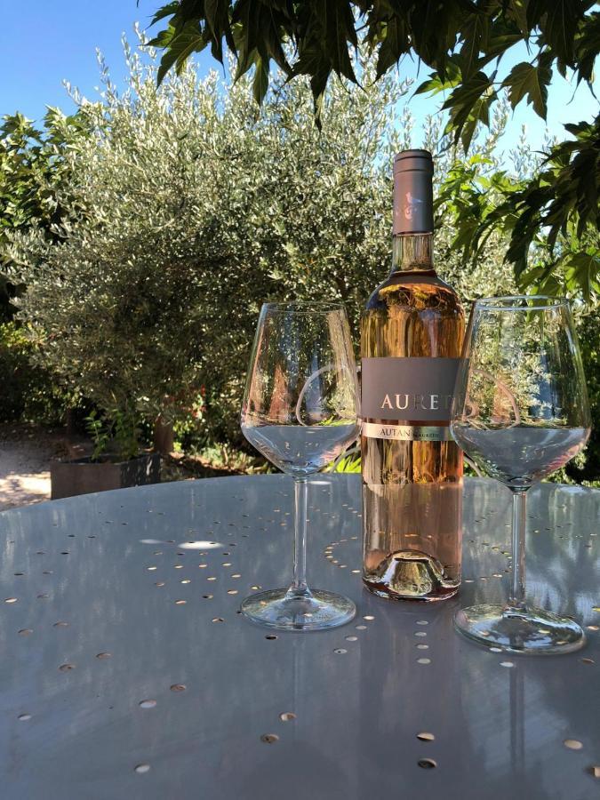 Gite Roussillon Dame Sirmonde Lägenhet Exteriör bild